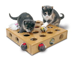 Cat Toys