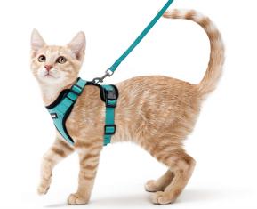 Harness & Leash Set