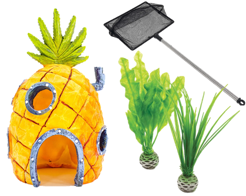 Aquarium Accessories