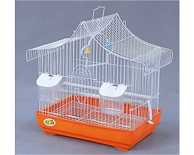 Bird Cages