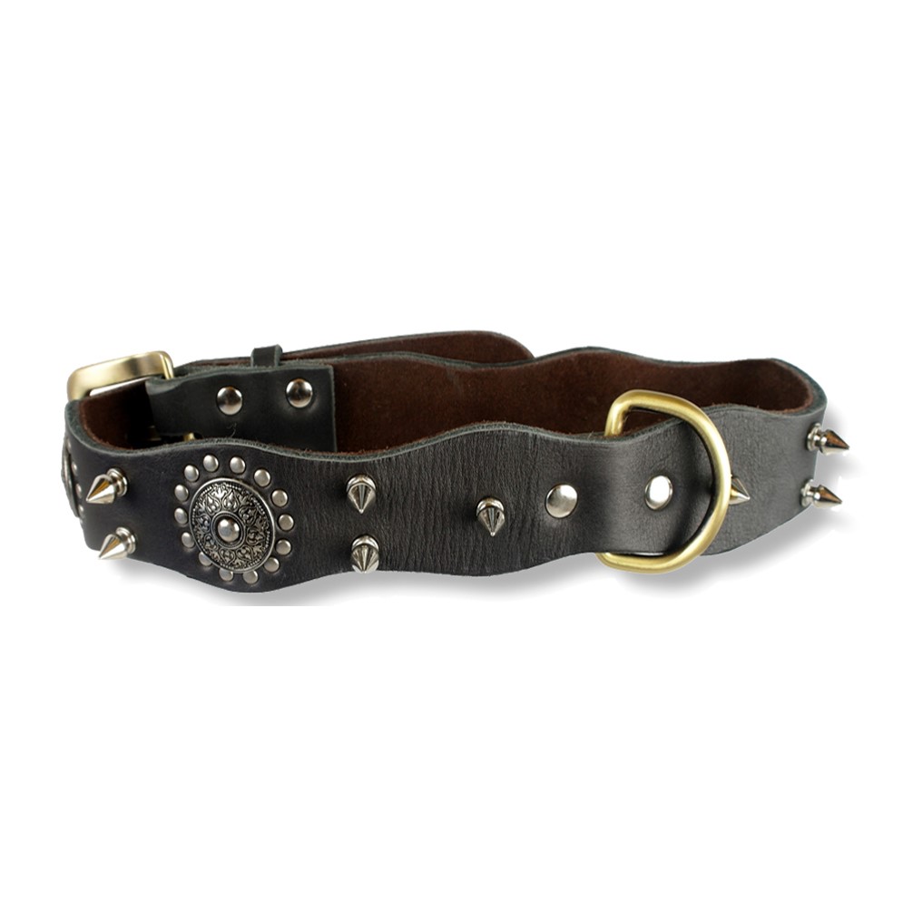 LEATHER DOG COLLAR - Welcome to Petzone