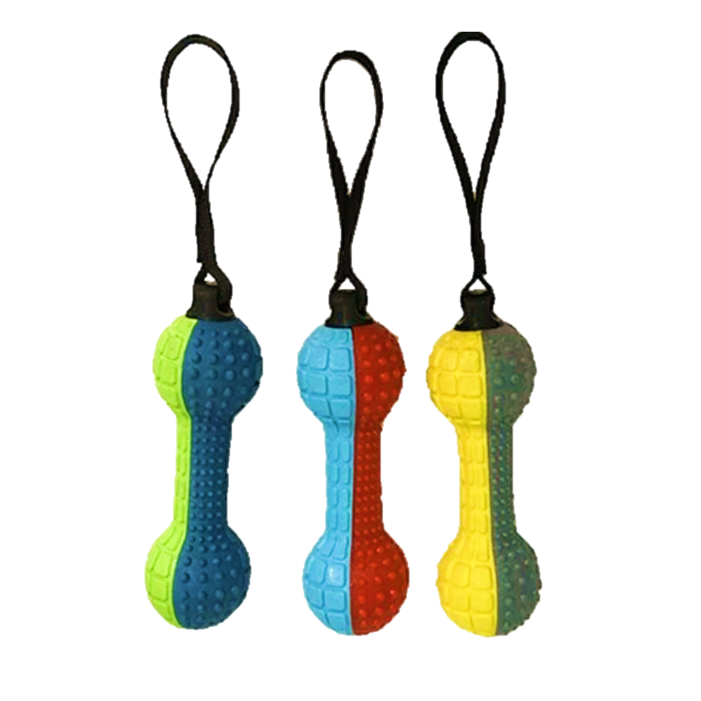 SQUEAKY DUMBBELL DOG CHEW TOY Welcome to Petzone