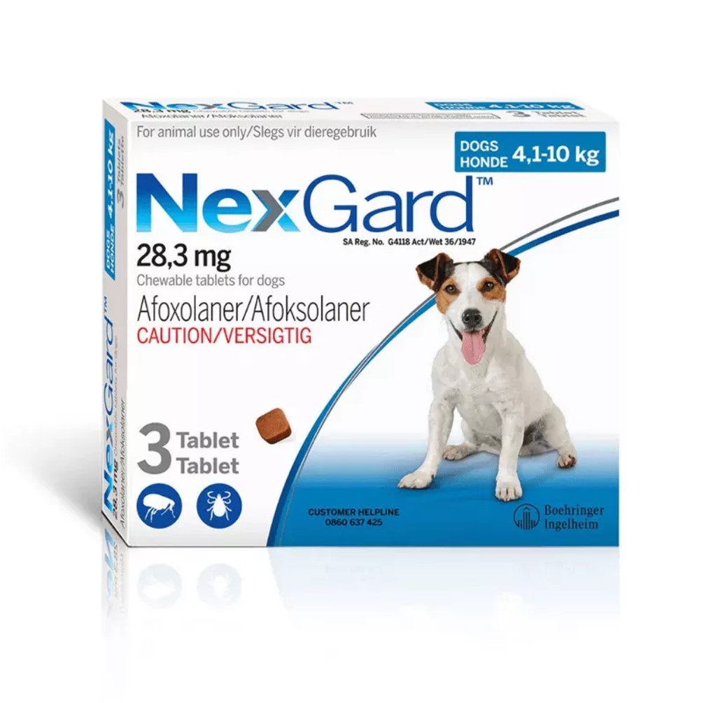 NEXGARD FOR SMALL DOGS Welcome To Petzone nexgard-for-small-dogs-welcome-to-petzone