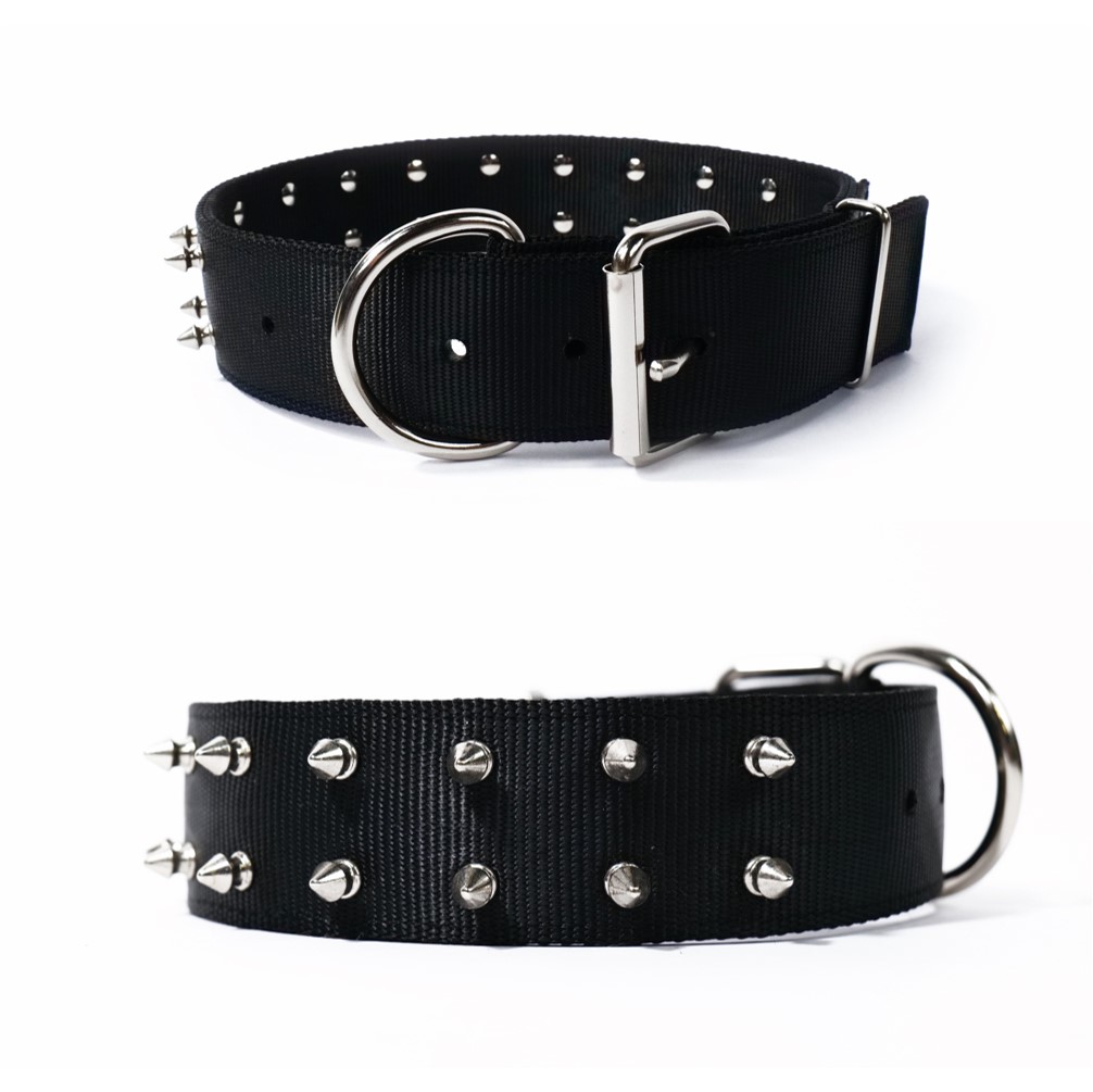 T rex deals dog collar